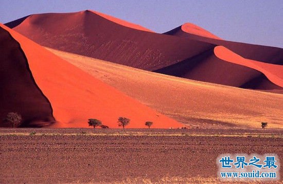 关于沙漠的10个世界之最，最干旱沙漠从来不下雨(www.gifqq.com)