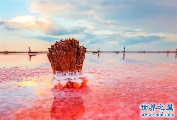 世界上最美的八大湖泊，血色粉红湖最惊艳(www.gifqq.com)