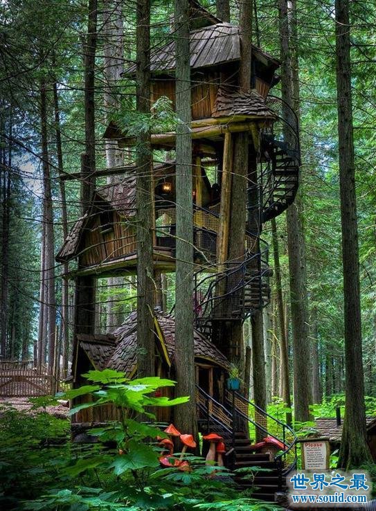 世界十大最美的树屋，别人家的房子永远最漂亮(www.gifqq.com)