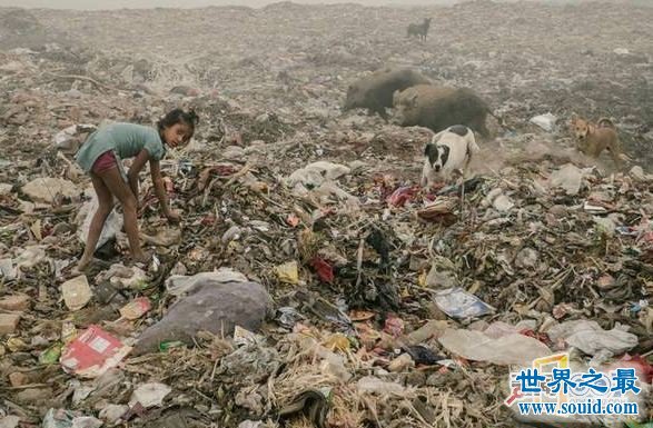 世界上最肮脏的城市，印度德里(全部被污染)(www.gifqq.com)