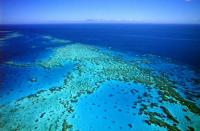 世界上最大的珊瑚礁群(www.gifqq.com)