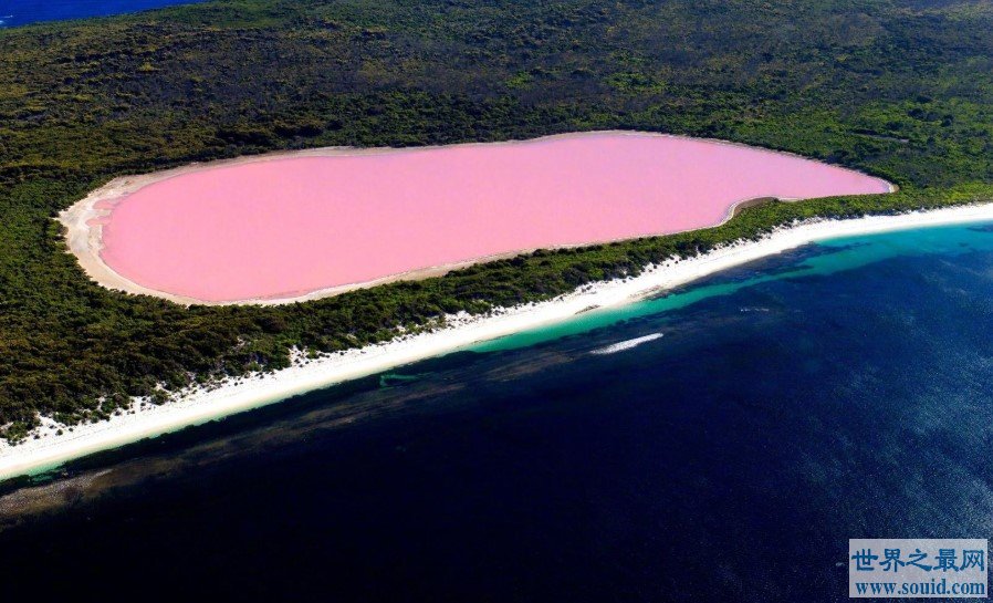世界最浪漫粉色希勒湖，天然粉色湖面美的让人窒息(www.gifqq.com)