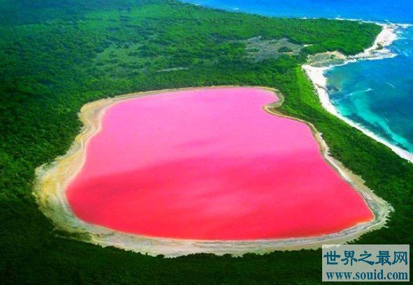 世界最浪漫粉色希勒湖，天然粉色湖面美的让人窒息(www.gifqq.com)