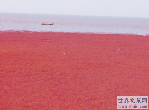 世界上最热的海，颜色为红色，高达32度(www.gifqq.com)