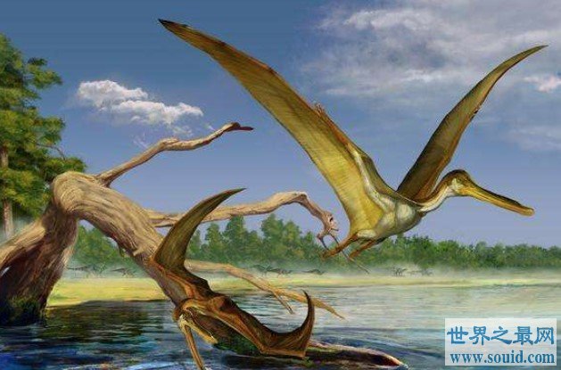最大飞行生物“冰龙”属新物种，翼展超10米(www.gifqq.com)