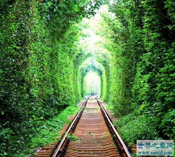 世界上最美的隧道，乌克兰爱的隧道成为情侣约会圣地(www.gifqq.com)