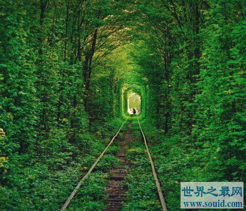 世界上最美的隧道，乌克兰爱的隧道成为情侣约会圣地(www.gifqq.com)