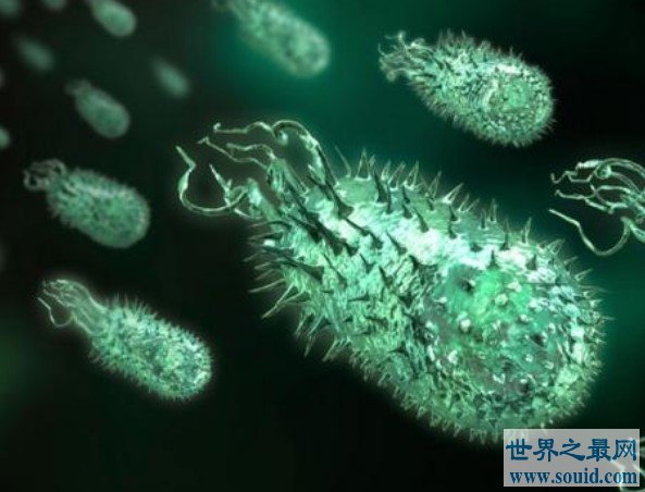 世界上最神奇的细菌——食电细菌(www.gifqq.com)