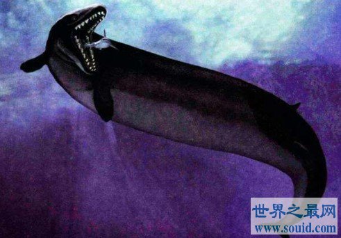 世界上最早的鲸鱼，古蜥鲸竟是从树上跑下来的(www.gifqq.com)