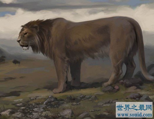 史上最大的狮子，就是著名的残暴狮(www.gifqq.com)