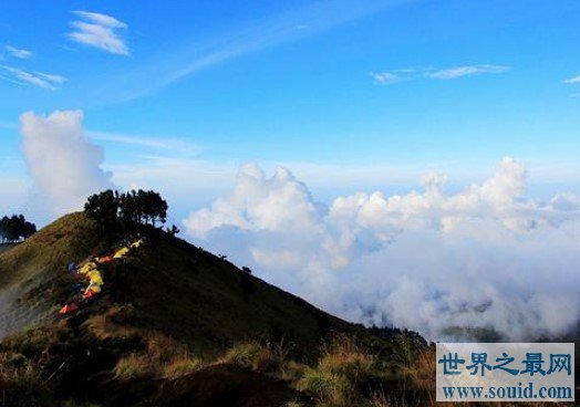 云端上失落的世界罗赖马山，攀登上山顶震撼风景